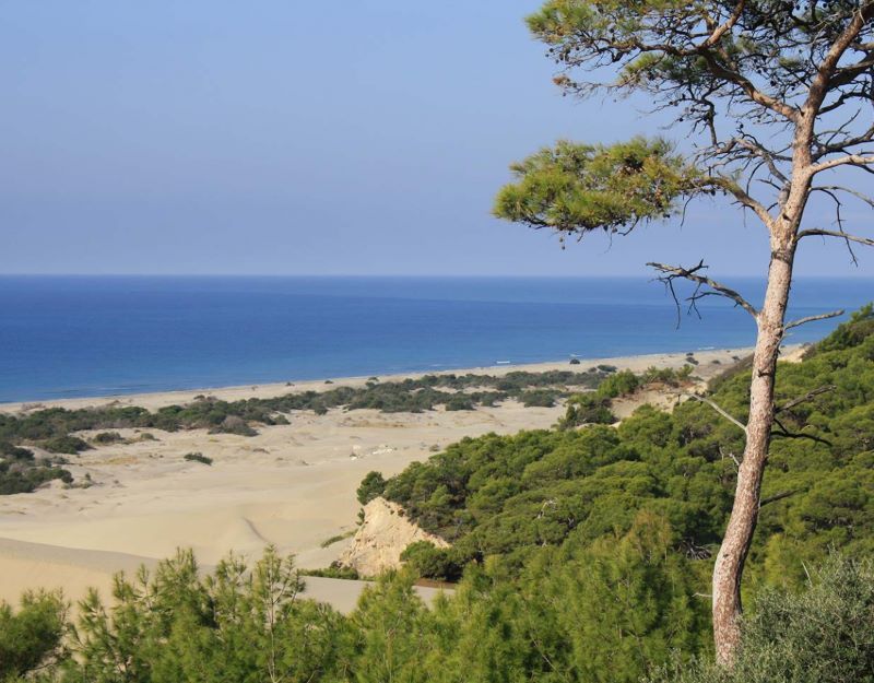 Иллюстрация к статье - ФэмКап